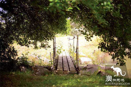 墨尔本三处最美薰衣草园，我要去当浪漫仙子啦