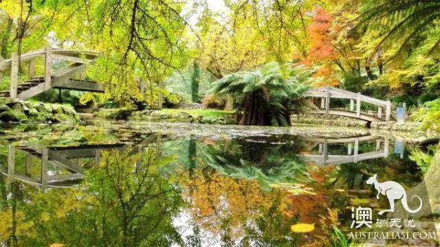 墨爾本公園攻略:喜歡跑步?遛娃?遛狗?這8個絕美公園滿足妳!