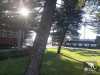 Glenelg